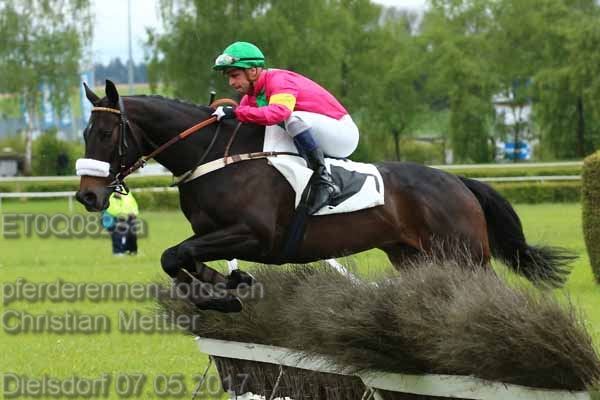 ET0Q0828a prot